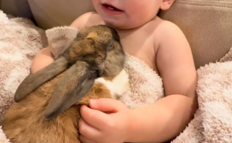 « Les lapins ne font pas ça avec n’importe qui », blotti contre son ami lapin, ce bébé savoure un moment de tendresse