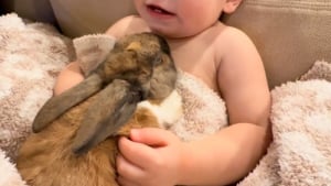 Illustration : "« Les lapins ne font pas ça avec n’importe qui », blotti contre son ami lapin, ce bébé savoure un moment de tendresse"