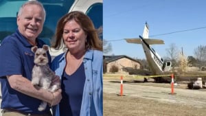 Illustration : Seul survivant d'un crash d'avion, ce chien endeuill&eacute; est secouru par des riverains boulevers&eacute;s par son sort