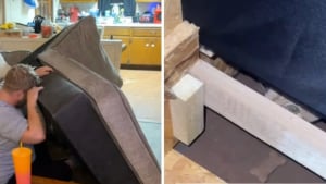 Illustration : "Alertés par une clochette, ils découvrent le chaton du vendeur coincé dans leur nouveau canapé d'occasion(vidéo)"