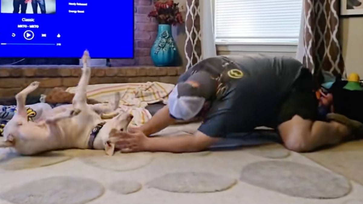 Illustration : "« Ce fut un moment important », après plusieurs mois en famille d’accueil, cette chienne timide vit son premier véritable coup de folie (vidéo)"