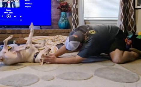 « Ce fut un moment important », après plusieurs mois en famille d’accueil, cette chienne timide vit son premier véritable coup de folie (vidéo)