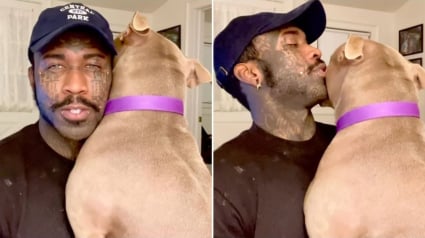 Illustration : Triste d'&ecirc;tre s&eacute;par&eacute;e de sa famille expuls&eacute;e, cette chienne demande un c&acirc;lin r&eacute;confortant &agrave; son bienfaiteur (vid&eacute;o)