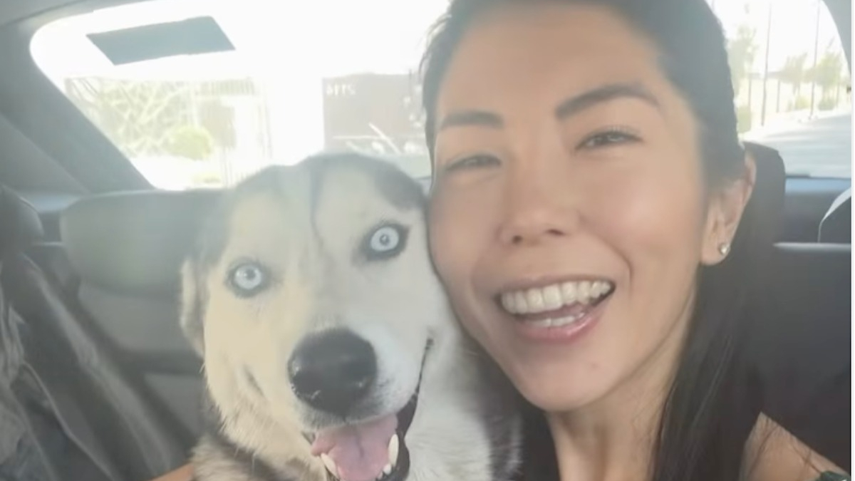 Illustration : "Une randonneuse sauve une chienne abandonnée et apprend 3 semaines plus tard qu'elle est sur le point de mettre bas (vidéo)"