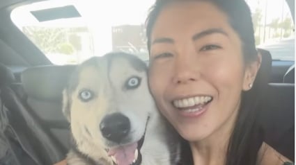 Illustration : Une randonneuse sauve une chienne abandonn&eacute;e et apprend 3 semaines plus tard qu'elle est sur le point de mettre bas (vid&eacute;o)