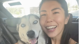 Illustration : Une randonneuse sauve une chienne abandonnée et apprend 3 semaines plus tard qu'elle est sur le point de mettre bas (vidéo)