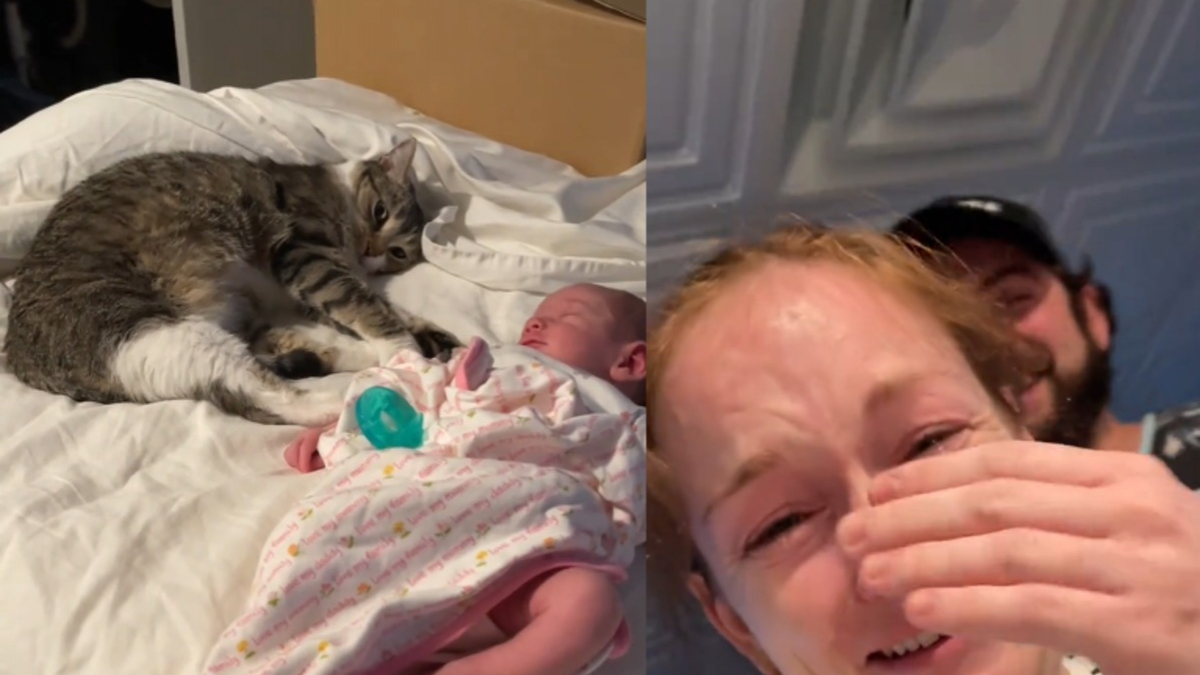 Illustration : "Une jeune mère fond en larmes en filmant sa chatte s'allonger tendrement contre son bébé nouveau-né (vidéo)"