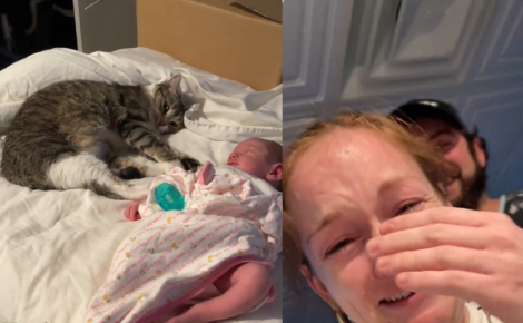 Une jeune mère fond en larmes en filmant sa chatte s'allonger tendrement contre son bébé nouveau-né (vidéo)