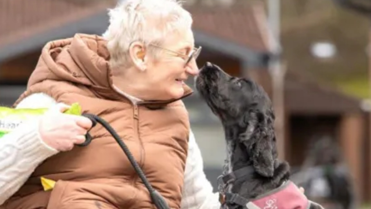 Illustration : "« Je ne pourrais pas rêver d’un meilleur ami », une dame sourde tombée lourdement sur le verglas s'en remet à son chien"