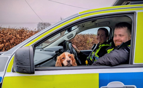 « Héros du jour ! », en effectuant un simple contrôle, la police découvre des armes à feu et un chien volé 2 mois auparavant