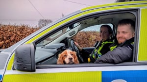 Illustration : &laquo; H&eacute;ros du jour ! &raquo;, en effectuant un simple contr&ocirc;le, la police d&eacute;couvre des armes &agrave; feu et un chien vol&eacute; 2 mois auparavant