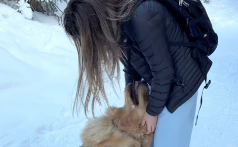 « Trop mignon ! », ce Golden Retriever s’assure que chaque marcheur reçoit de l’attention et égaye leur randonnée (vidéo)