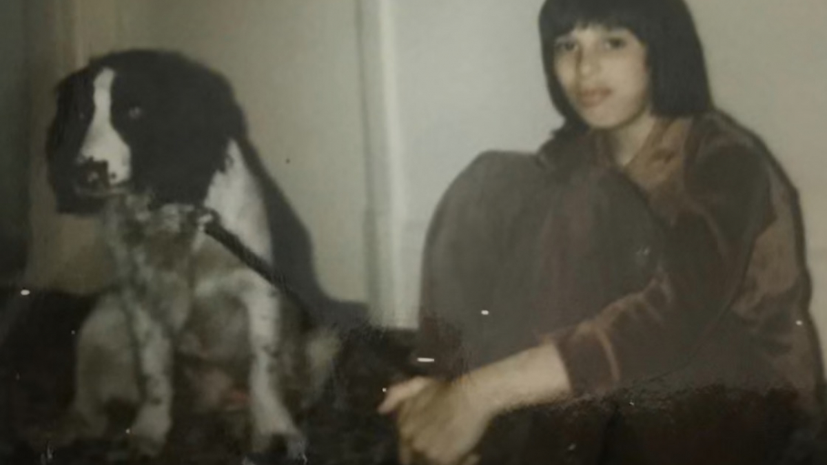 Illustration : "Autrefois considéré comme une cause perdue ce chien Springer Anglais désobéissant a pourtant resocialisé un enfant malade"