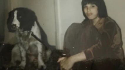 Illustration : Autrefois consid&eacute;r&eacute; comme une cause perdue ce chien Springer Anglais d&eacute;sob&eacute;issant a pourtant resocialis&eacute; un enfant malade