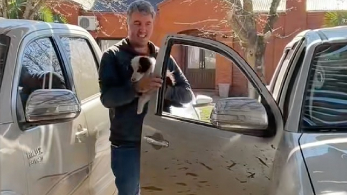 Illustration : "Une femme pensait voir son mari revenir du refuge avec un chien et accueille finalement avec joie une sœur et son frère boudés par les adoptants"