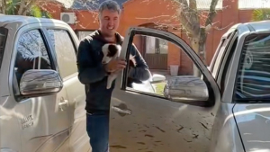 Illustration : Une femme pensait voir son mari revenir du refuge avec un chien et accueille finalement avec joie une sœur et son frère boudés par les adoptants