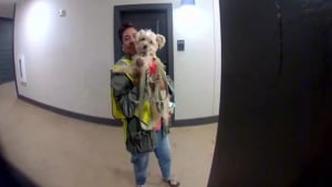 Illustration : « Pour votre chien », une femme offre un gilet fluorescent au chien de la dame qui collecte ses ordures avec son protégé