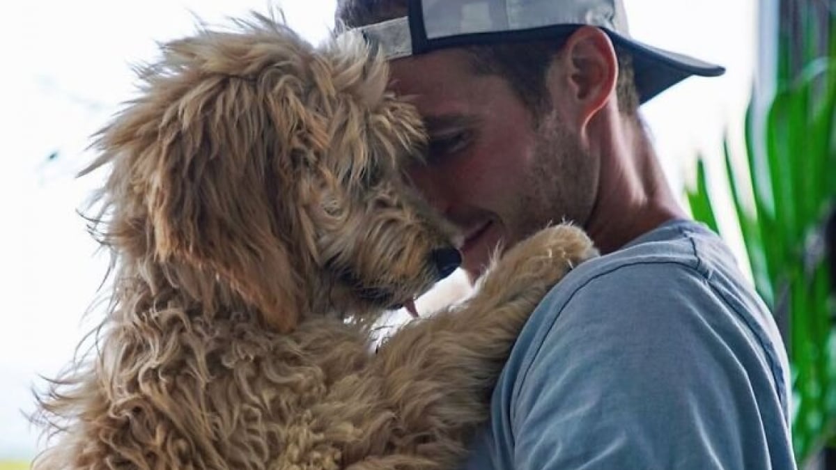 Illustration : "12 photos touchantes d’hommes et de leurs chiens qui respirent la complicité"