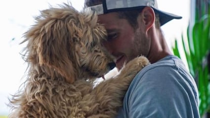 Illustration : 12 photos touchantes d&rsquo;hommes et de leurs chiens qui respirent la complicit&eacute;