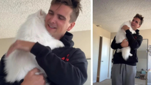 Illustration : « Mon mari et le chat qu'il ne voulait pas », quand un petit félin transforme un homme réticent en papa aimant (vidéo)