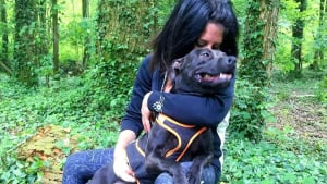 Illustration : "A 3 mois du verdict dans l'affaire Pilarski, une pétition pour sauver le chien Curtis de l'euthanasie récolte 35 000 signatures"