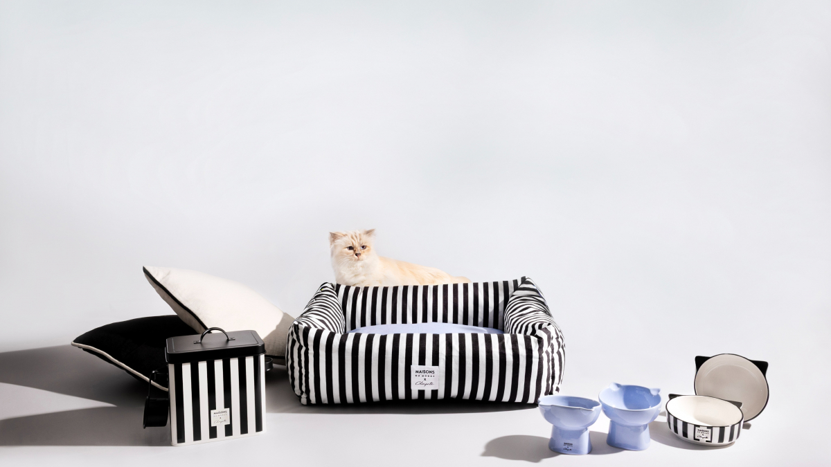 Illustration : "Choupette, la célèbre chatte de Karl Lagerfeld, et Maisons du Monde dévoilent une collection exclusive d’accessoires pour chats"