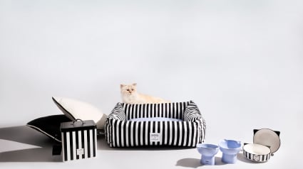 Illustration : Choupette, la c&eacute;l&egrave;bre chatte de Karl Lagerfeld, et Maisons du Monde d&eacute;voilent une collection exclusive d&rsquo;accessoires pour chats