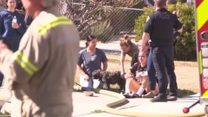 Illustration : Voyant des flammes jaillir de la maison voisine, des adolescents pensent imm&eacute;diatement au chien qui y vit et interviennent pour le sauver