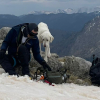 Illustration : Invisible dans la neige ce chien blanc bloqu&eacute; en haute altitude est secouru apr&egrave;s 9 jours d'errance