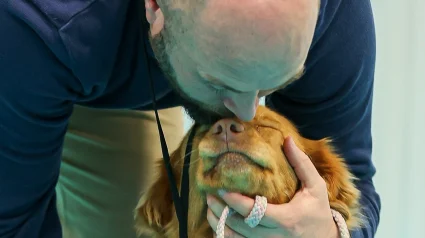 Illustration : Au Paris Animal Show 2026, d&eacute;couvrez l&rsquo;Adoption Center, un espace d&eacute;di&eacute; &agrave; l&rsquo;adoption responsable et r&eacute;fl&eacute;chie