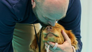 Illustration : Au Paris Animal Show 2026, d&eacute;couvrez l&rsquo;Adoption Center, un espace d&eacute;di&eacute; &agrave; l&rsquo;adoption responsable et r&eacute;fl&eacute;chie