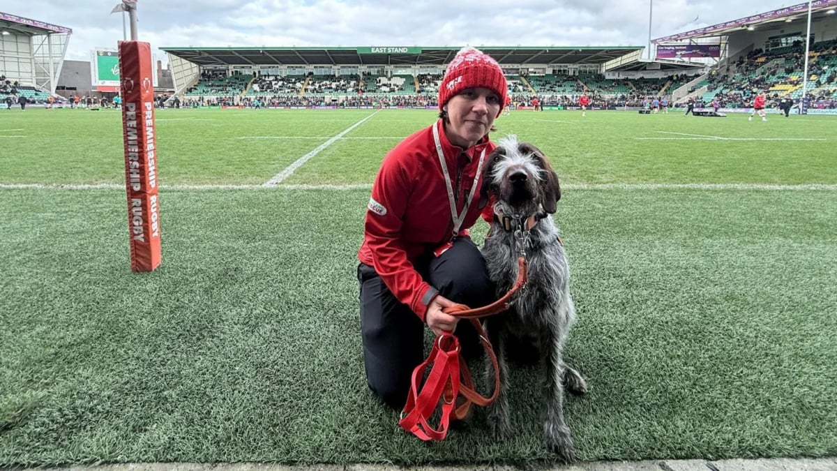 Illustration : "« Un très beau moment », un chien de sauvetage surprend les spectateurs d’un match de rugby en livrant le ballon pour promouvoir son association"