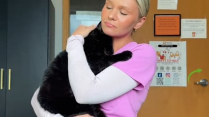 Illustration : Porteur du FIV et jug&eacute; trop pot de colle ce chat noir croule maintenant sous les demandes d'adoption gr&acirc;ce &agrave; une vid&eacute;o