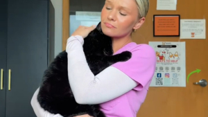 Illustration : Personne ne voulait de ce chat jugé trop affectueux, une simple vidéo fait basculer son destin (vidéo)