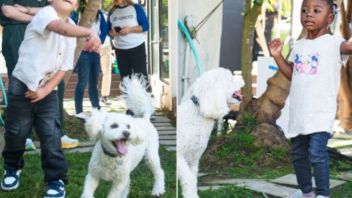 Illustration : "Des enfants et des chiots touchés par la même malformation cardiaque se réunissent pour fêter la réussite de leur traitement"