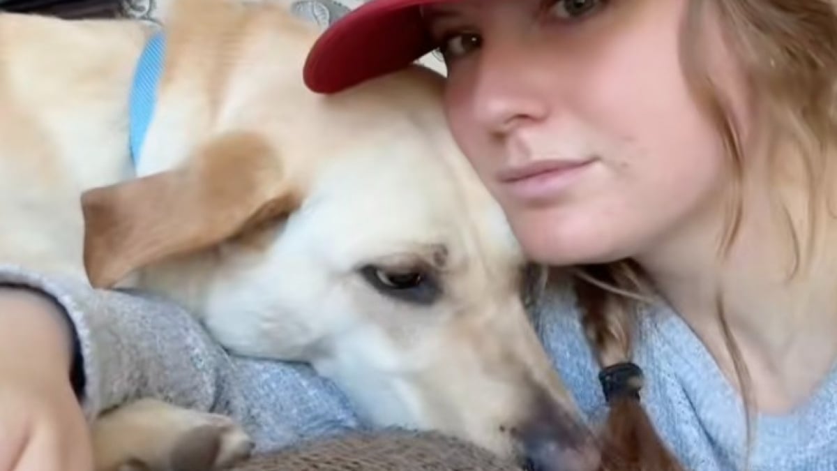 Illustration : "Lorsque son ex petit ami abandonne leur chien au refuge, elle n’hésite pas à parcourir 8 heures de route pour le récupérer (vidéo)"