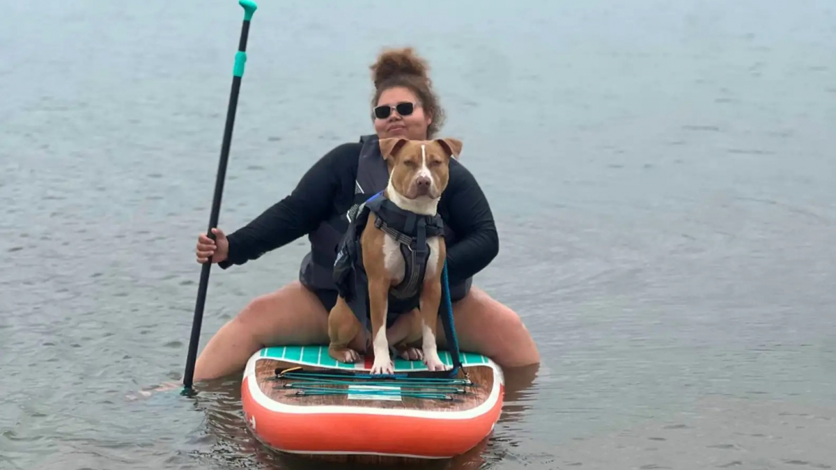 Illustration : "Un chien de refuge profite d’une virée avec ses bienfaiteurs pour faire du paddle pour la première fois de sa vie"
