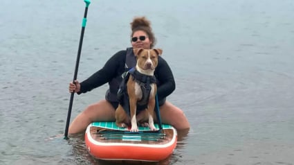 Illustration : Un chien de refuge profite d&rsquo;une vir&eacute;e avec ses bienfaiteurs pour faire du paddle pour la premi&egrave;re fois de sa vie