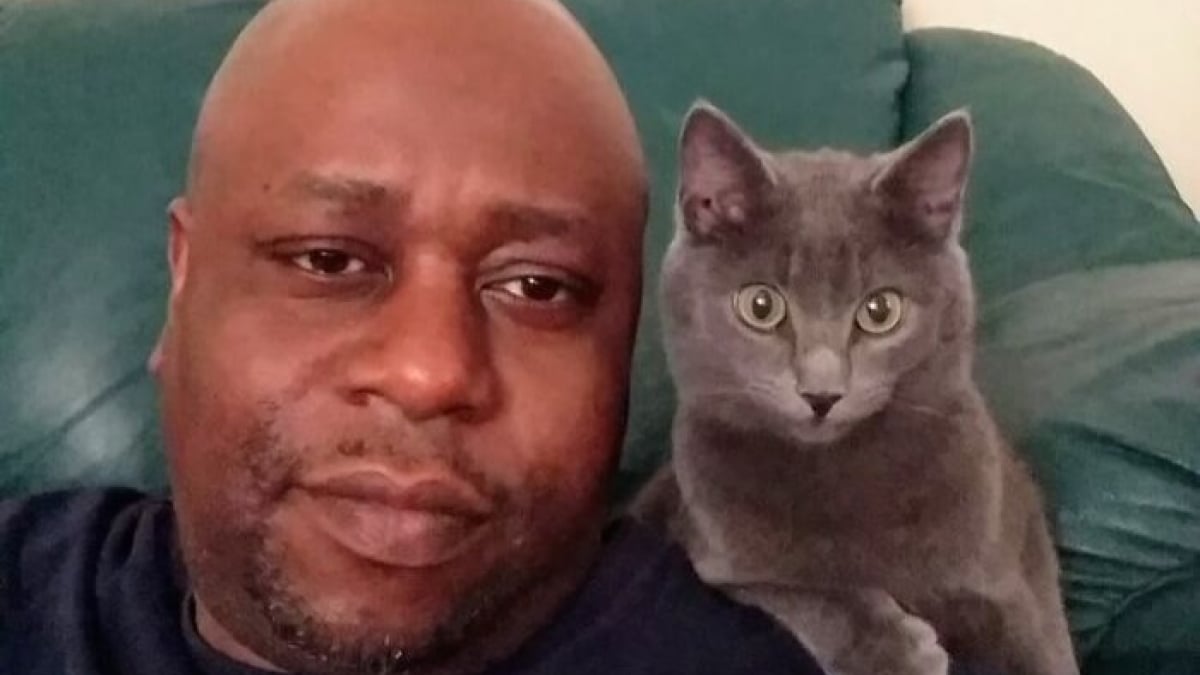 Illustration : "Autrefois hostile aux félins cet homme fonde une association de sauvetage après avoir rencontré et sauvé ce chaton gris"