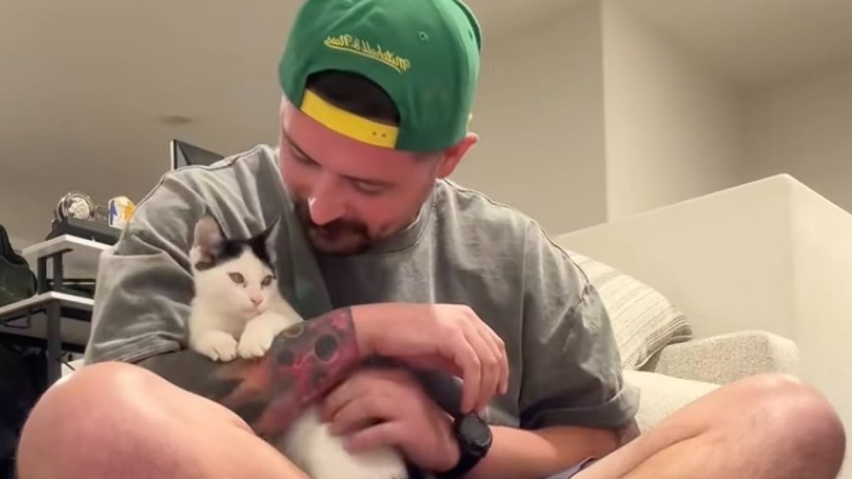 Illustration : "« Je crois que ce chat me veut aussi », un homme cherchait un chat à adopter quand une patte s’est posée sur son épaule lors de sa visite au refuge  (vidéo)"