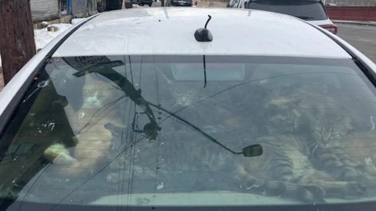 Illustration : "« Ils avaient absolument besoin de nous », l’inspection d’une voiture stationnée mène à la découverte de 29 chats vivant dans des conditions effroyables"