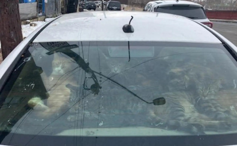 « Ils avaient absolument besoin de nous », l’inspection d’une voiture stationnée mène à la découverte de 29 chats vivant dans des conditions effroyables