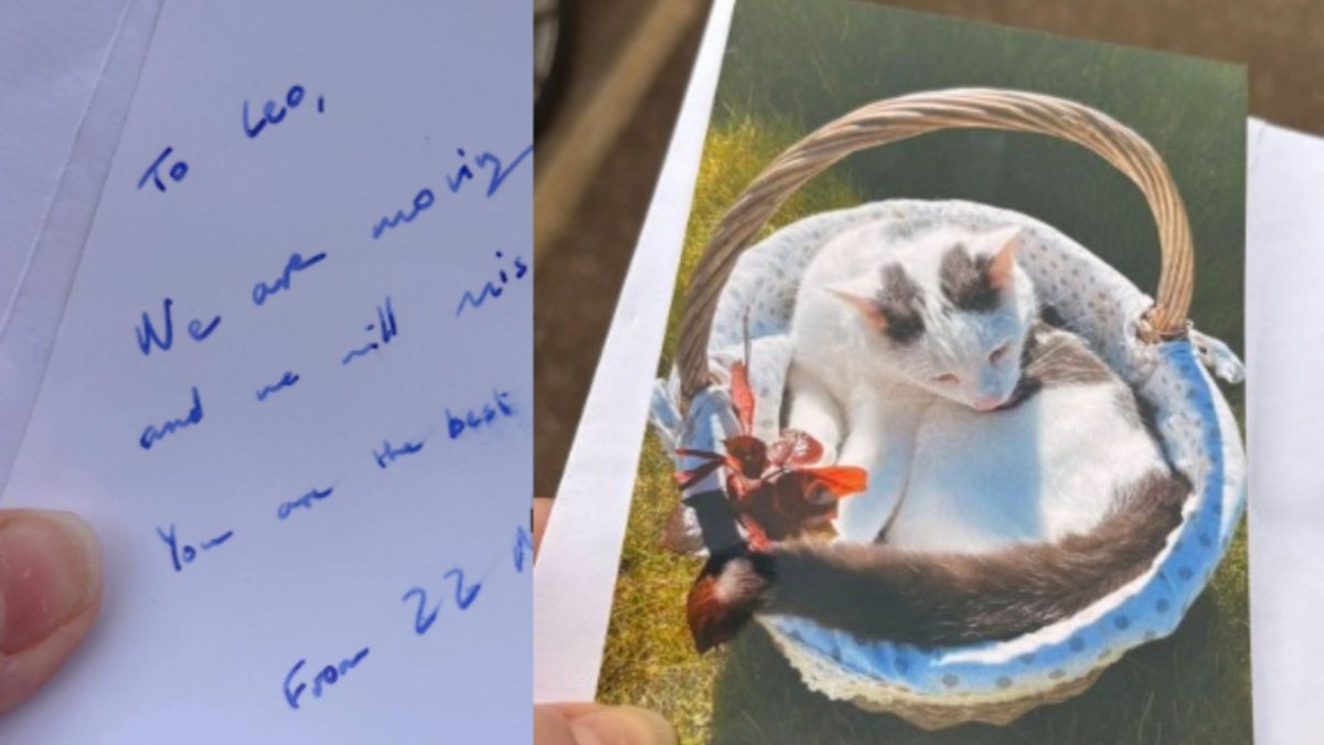 Illustration : "En recevant une note touchante de la part de voisins sur le départ, elle réalise à quel point son chat est aimé dans le quartier"