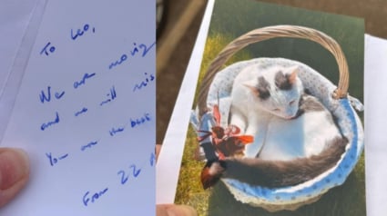 Illustration : En recevant une note touchante de la part de voisins sur le d&eacute;part, elle r&eacute;alise &agrave; quel point son chat est aim&eacute; dans le quartier