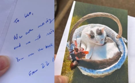 En recevant une note touchante de la part de voisins sur le départ, elle réalise à quel point son chat est aimé dans le quartier