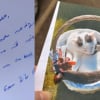 Illustration : En recevant une note touchante de la part de voisins sur le d&eacute;part, elle r&eacute;alise &agrave; quel point son chat est aim&eacute; dans le quartier