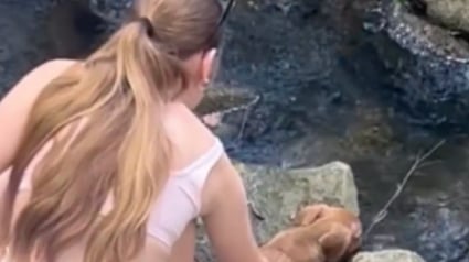 Illustration : En promenade dans un parc, un p&egrave;re et sa fille extraient d'urgence 3 chiots au bord d&rsquo;une rivi&egrave;re