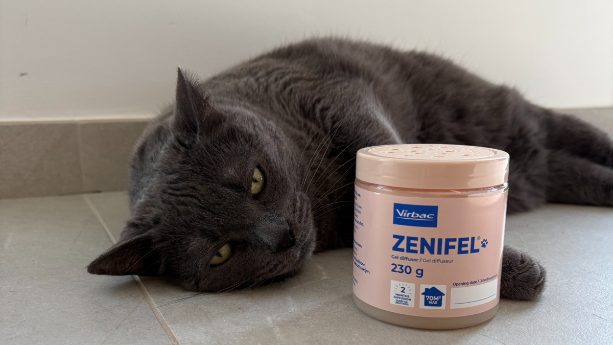 Illustration : "Test du Gel diffuseur Zenifel® de Virbac : notre avis pour apaiser un chat stressé pendant un déménagement"