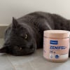 Illustration : Test du Gel diffuseur Zenifel&reg; de Virbac : notre avis pour apaiser un chat stress&eacute; pendant un d&eacute;m&eacute;nagement
