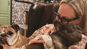 Illustration : Retrouv&eacute;e paralys&eacute;e dans la rue une Bouledogue Fran&ccedil;ais retrouve partiellement sa mobilit&eacute; gr&acirc;ce &agrave; des s&eacute;ances de physioth&eacute;rapie (vid&eacute;o)